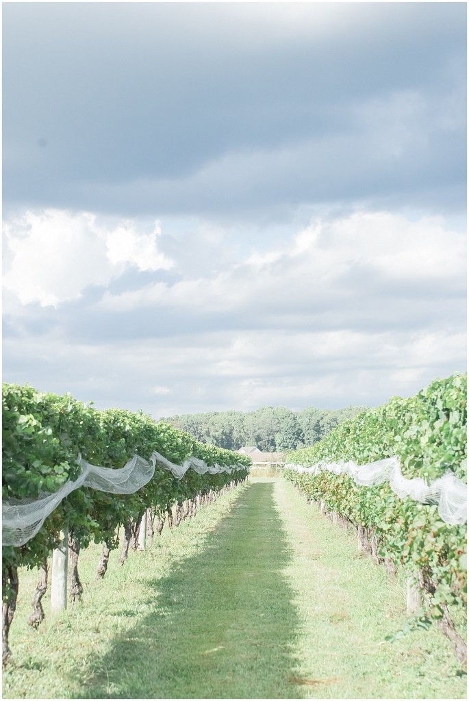 Bordeleau Vinyards & Winery-Fine Art-Eastern Shore-Maryland-Wedding-Photo_0039